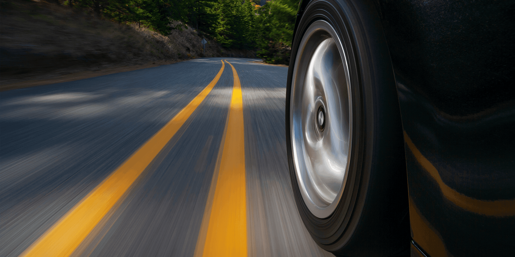 mit Sicherheit zum Führerschein